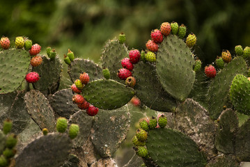 SAN GABRIEL 13-MAYO-2009.