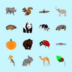 Obraz premium animals icons set
