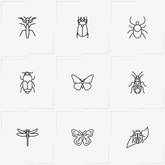 Insects line icon set with bug, cockchafer and ant