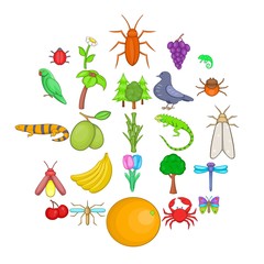 Vegetable kingdom icons set. Cartoon set of 25 vegetable kingdom vector icons for web isolated on white background