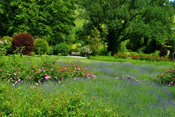 Obraz premium Kwitnący ogród