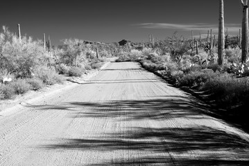 Infrared Arizona dirt road