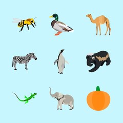 Fototapeta premium animals icons set