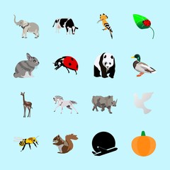 animals icons set