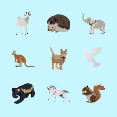 Obraz premium animals icons set