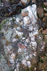 Rose Quartz