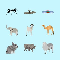 animals icons set