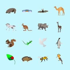 Obraz premium animals icons set