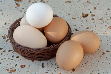 Fresh organic chicken eggs from cage free bio farm