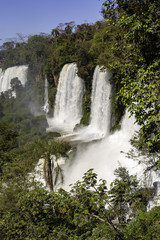 Fototapeta premium wodospady Iguaçu