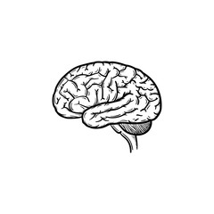 Human brain hand drawn outline doodle icon. Brain as a concept of intelligence and smart way of thinking vector sketch illustration for print, web, mobile and infographics isolated on white background