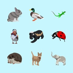 Fototapeta premium animals icons set