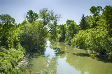 Fototapeta premium Holland river in the summer park, Ontario, Canada