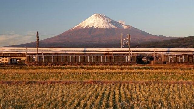 Japan, Honshu, Mount Fuji, Shinkansen Bullet Train passing through harvested rice fields below the snow capped volcano