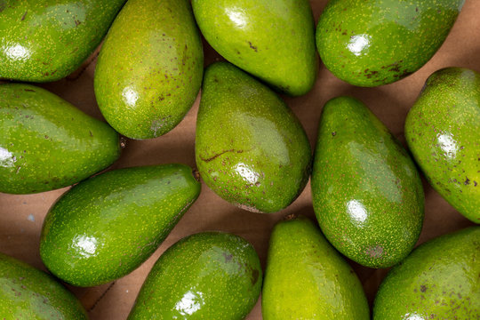Ripe avocado fruits in box