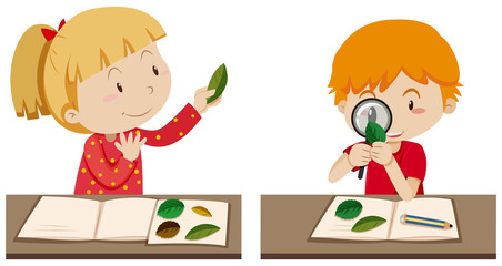 Students Reserch in Biology Class