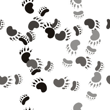 Trail the bear paw. Seamless pattern background. Wildlife design vector illustration.