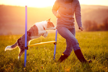 Hundesport Agility mit Hürden, Hund und Frau springen über Hindernis, Sonnenaufgang