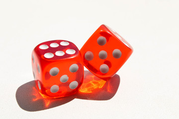 Dice on a white background . Game concept. Games of chance