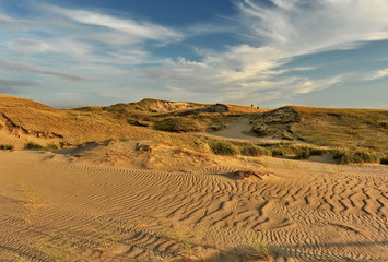 Morning in the desert. Texture on the sand