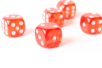 Dice on a white background . Game concept. Games of chance