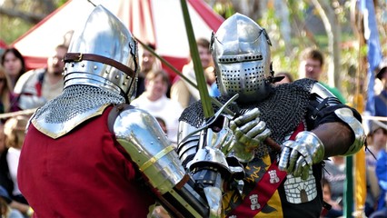 Knights in Shining Armour - Sword Fight