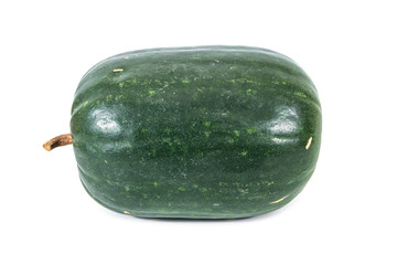 Green winter melon plant isolated on white background.