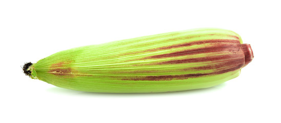 fresh sweet corn, isolated on white