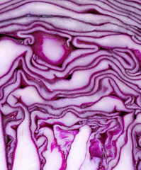Obraz premium Red Cabbage background. Red cabbage pattern closeup.