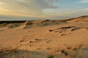 Lithuania. Sunset in the desert on the Curonian Spit