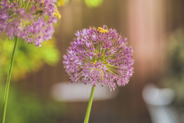 Green city Concept, Urban Life With Nature.