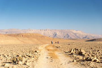 Fototapeta na wymiar Trekking in Negev dramatic stone desert, Israel