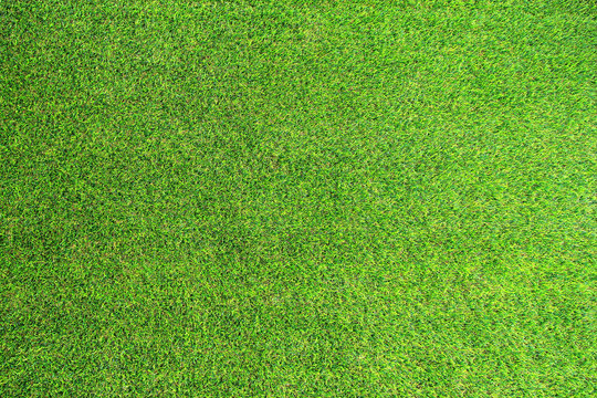 Artificial green grass. Texture it's  look like real grass very similiar. Selective focus and close up.