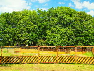 工事用フェンスと新緑の林