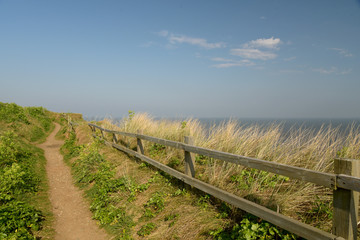 Fototapeta na wymiar Norfolk coast path near Sheringham
