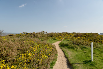 Norfolk coast path near Sheringham