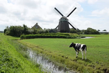 Fotobehang Molens Koe bij een molen in Noord-Holland