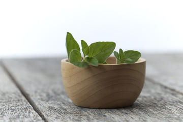 Herb Oregano in a bowl on rustic wooden