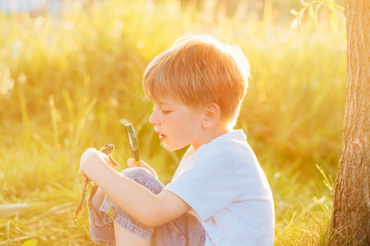 Cute preschooler blond boy looking at little frog in his hands through the magnifying glass at nature in sunset. Green background, side view. Childhood and researching concept.