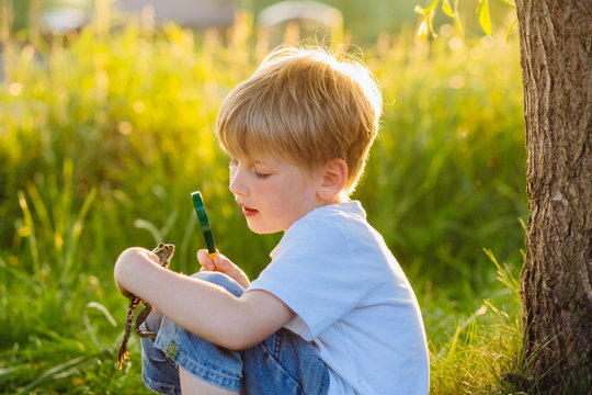 Cute preschooler blond boy looking at little frog in his hands through the magnifying glass at nature in sunset. Green background, side view. Childhood and researching concept.