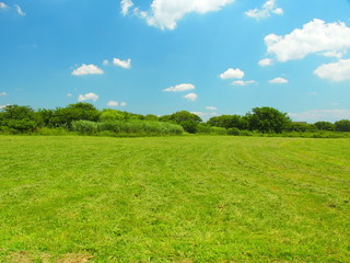 Obraz premium 初夏の江戸川河川敷風景