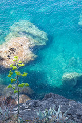 Beautiful blue Mediterrean sea from the cliffs of Portofino, Italy