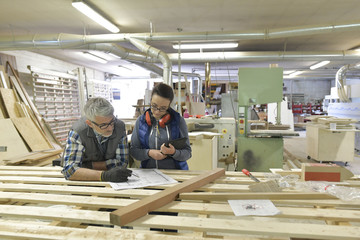 Wood industry technicians working together on project