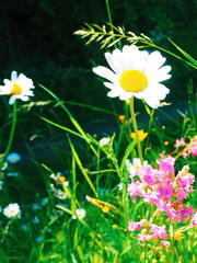 Processed with VSCO with l4 preset