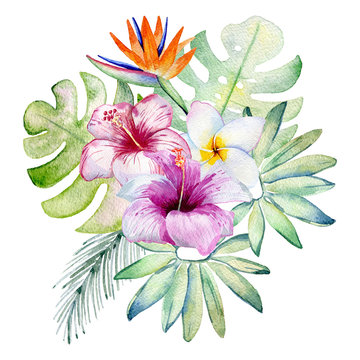 Tropical watercolor illustration with leaves and flowers.
