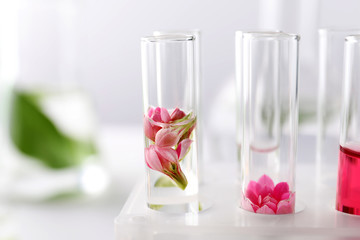 Fototapeta na wymiar Test tubes with flowers in rack, closeup
