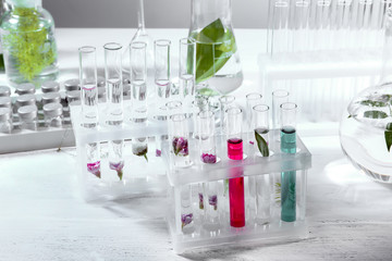 Test tubes with flowers and leaves in racks on table
