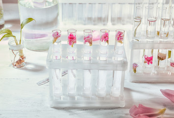 Test tubes with flowers in rack on table