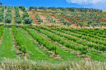 Landscape view of Calabria, Italy