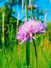 Processed with VSCO with l4 preset